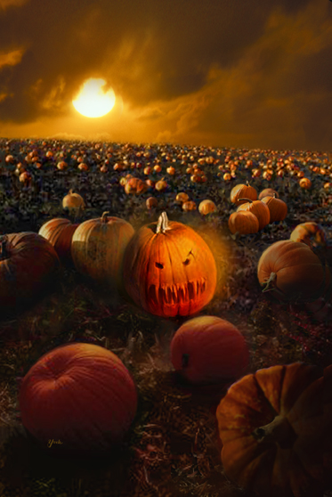 Ferocity ~ Dorchester Publishing Co